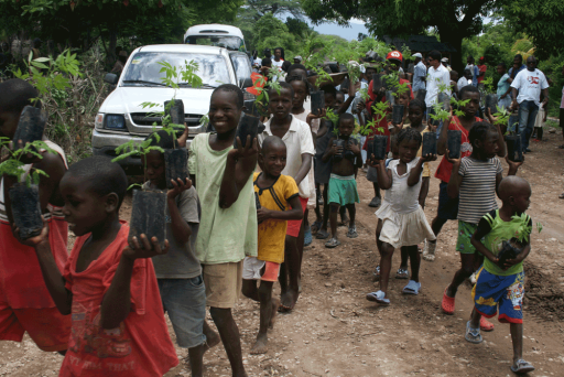 Haiti's little helpers