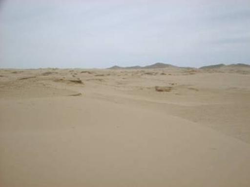 China's Horqin Desert in 2000 