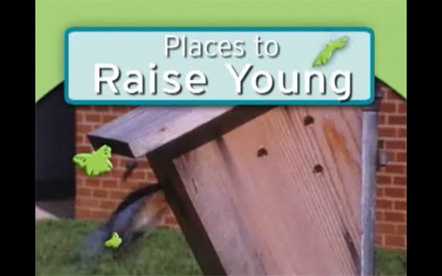 Providing wildlife places to raise young
