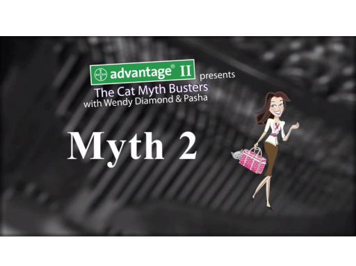 CatMythBusters.com - Myth 2 video