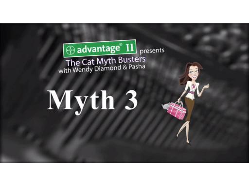 CatMythBusters.com – Myth 3 video