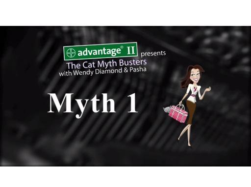 CatMythBusters.com – Myth 1 video