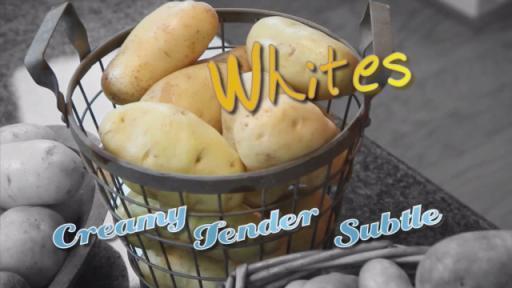 Potato Types Video Series: Whites