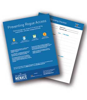 Rouge Access Web Report
