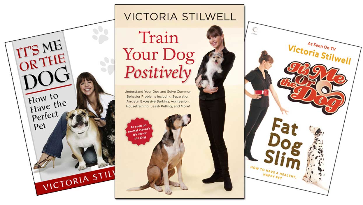 Ultimate Dog-Related Website Launched by Celebrity Dog Expert Victoria ...