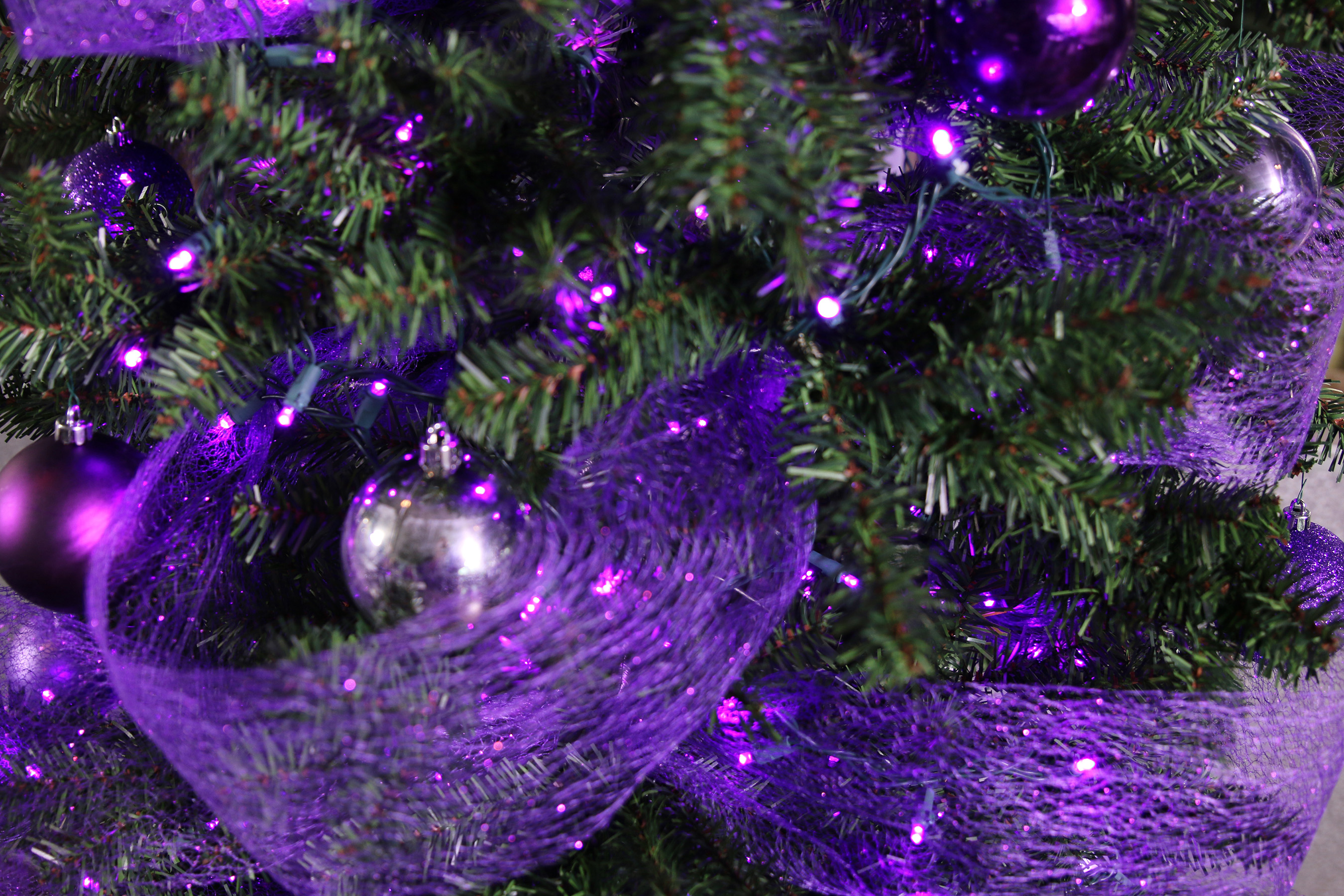 Epilepsy PATIENTS AND ADVOCATES URGED TO DECK THEIR HALLS WITH PURPLE