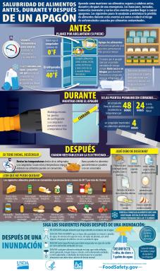 USDA Infographic - Food Safety Before, During And After A Power Outage - Spanish