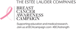 BCA Campaign logo
