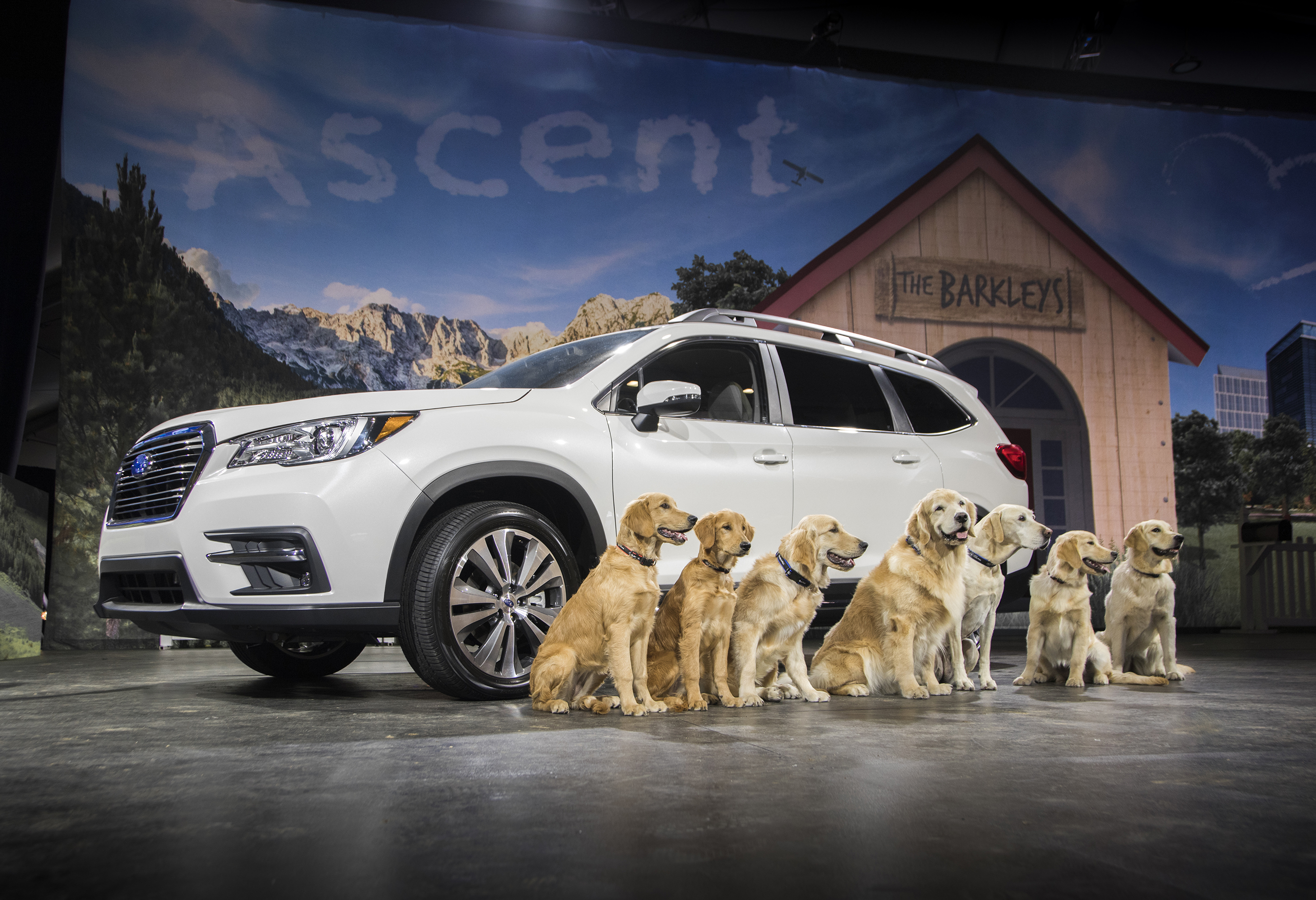 2019 Subaru Ascent SUV