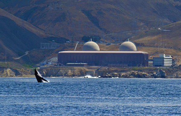 A humpback whale frolics in front of California's Diablo Canyon Power Plant.