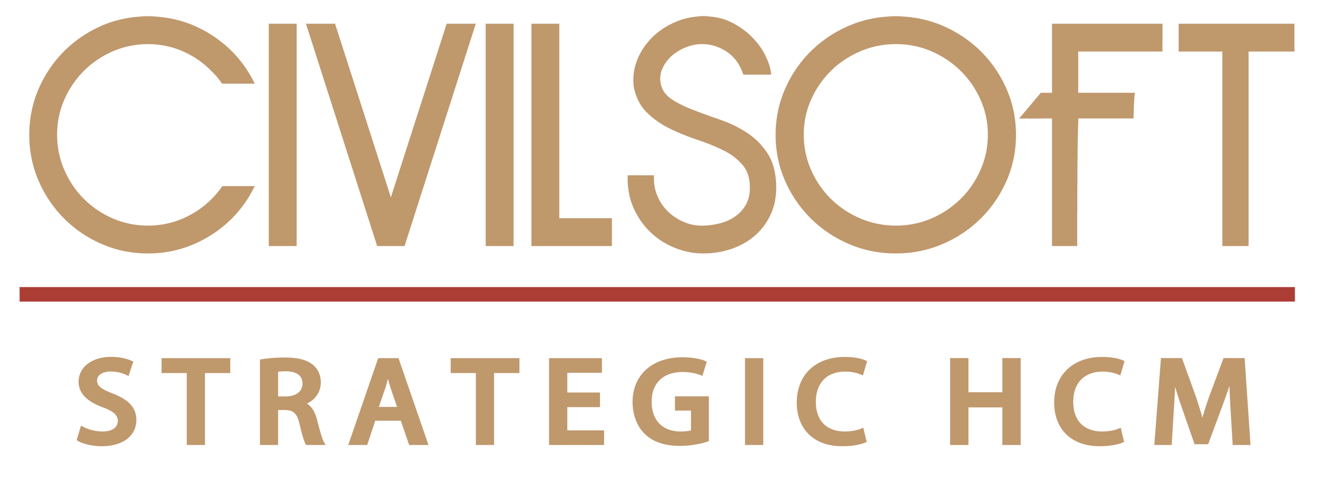Civilsoft Logo