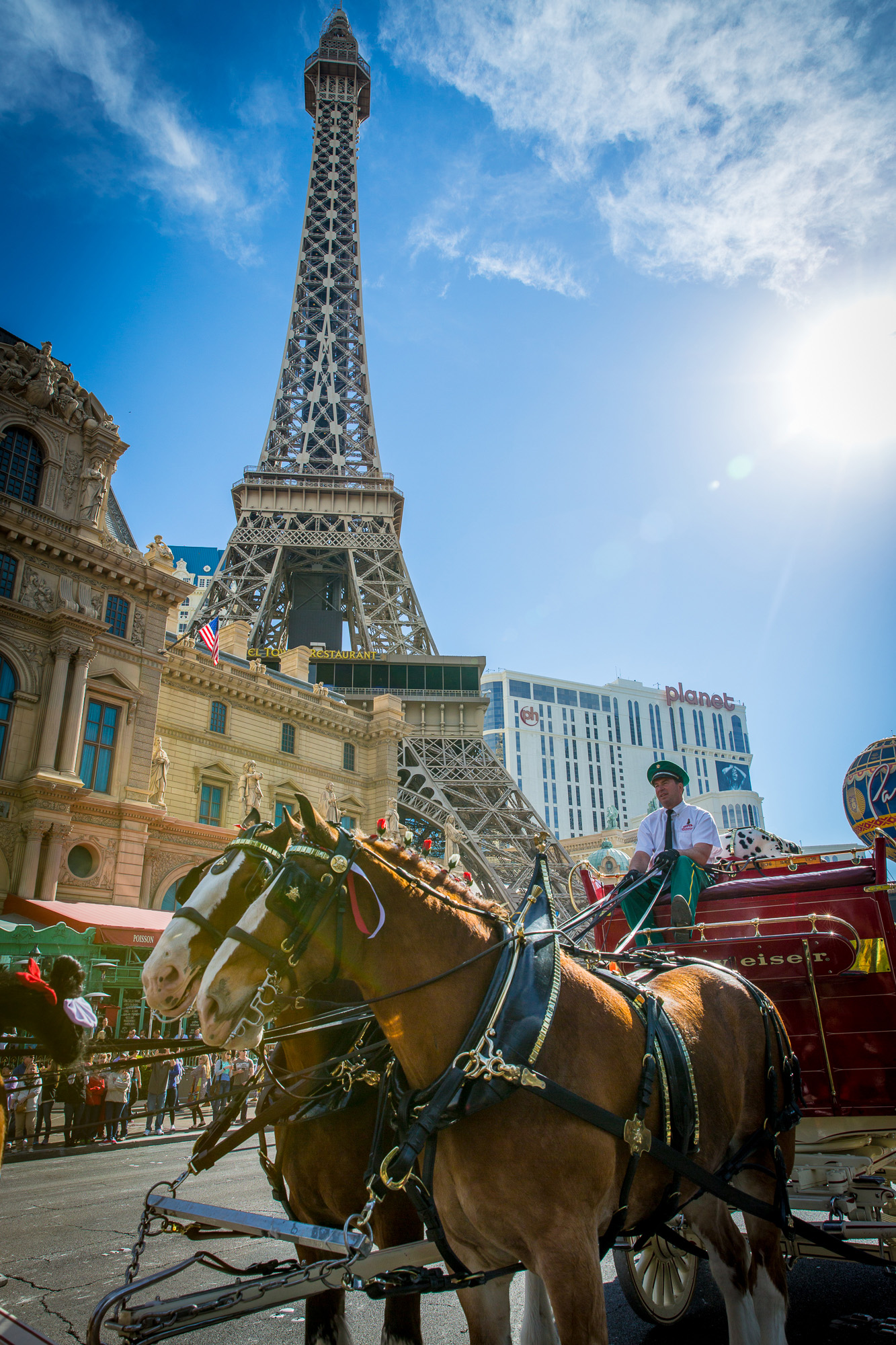 Las Vegas KicksOff Big Game Weekend with Famous Budweiser Clydesdales