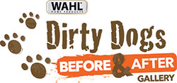 DirtyDogs Gallery logo
