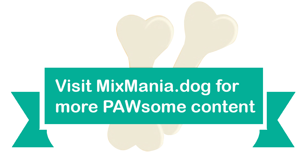 Visit MixMania.dog for more PAWsome content