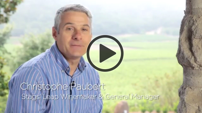 Stags’ Leap Winemaker & GM, Christophe Paubert shares rich history of Stag’s Leap. Make reservations to an amazing 5-course pairing dinner at http://www.ruthschris.com/promotions/stags-leap-dinner