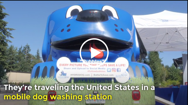 Meet the Amos Family – They’re traveling the United States in a mobile dog washing station with the mission to save the lives of shelter dogs. Their goals: visit all 50 States, wash 25,000 shelter dogs and raise $1 million for animal rescues.
