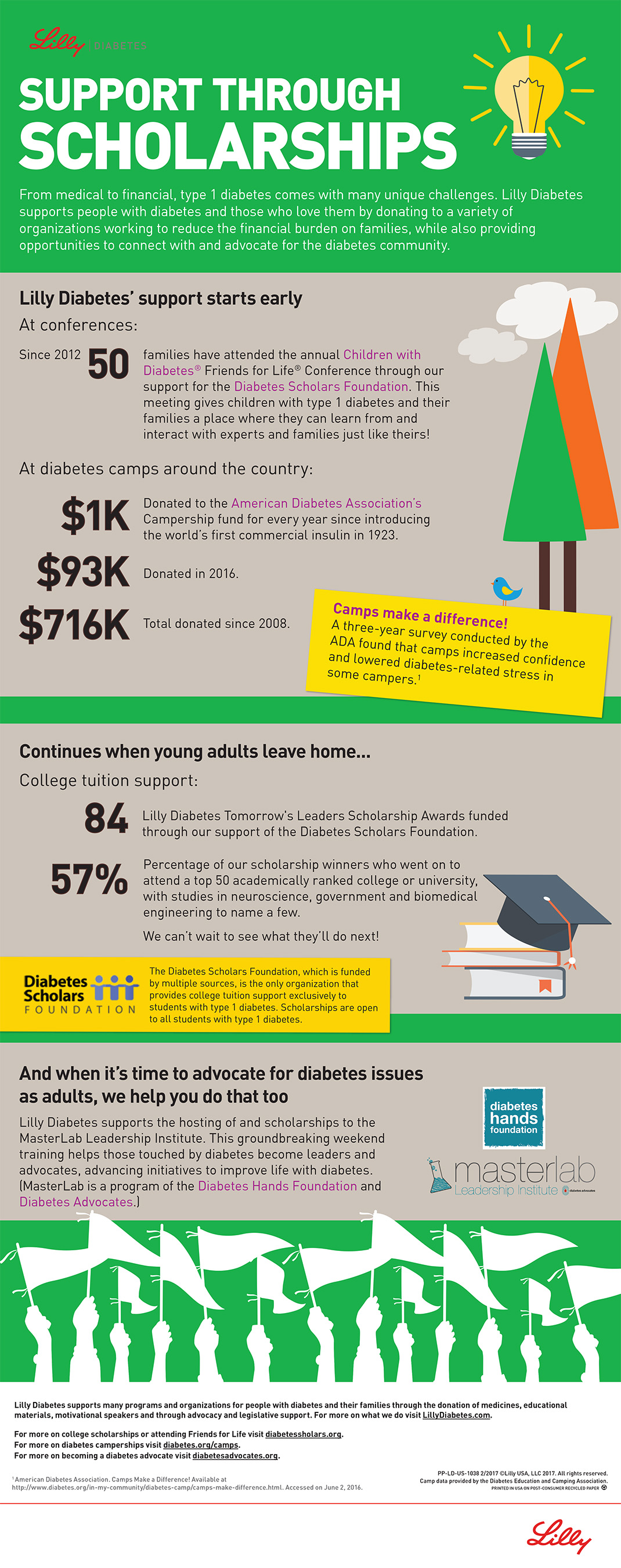 Lilly Diabetes Scholarship Infographic