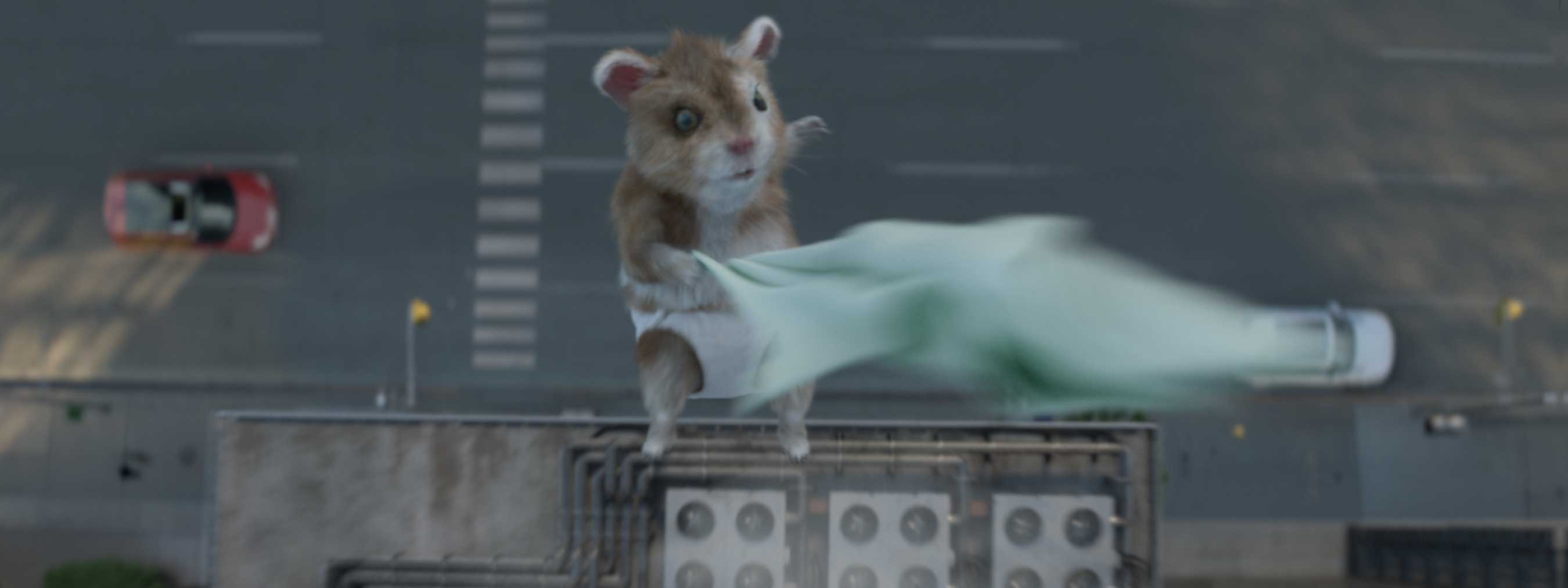 Kia Motors' Music-Loving Hamsters Welcome A New Member To The Family