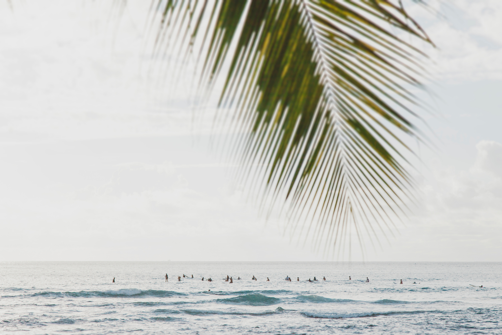 The challenge’s top 3 scripts will be chosen, with 1 dedicated to a Hawaii filmmaker. Winning teams will be flown to Hawaii and housed for 10 days of filming and post-production - a chance for local and international filmmakers to collaborate and showcase their talents and vision. At the end of filming, a live screening event will take place celebrating the teams collective effort, and the films will be submitted to film festivals around the world.