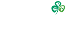 tourism ireland logo png