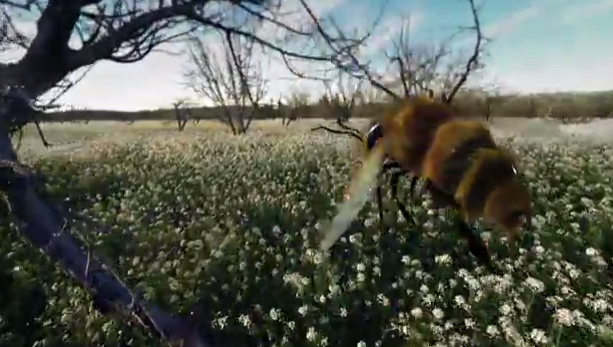 This VR experience will shrink viewers down to the size of a honey bee, allowing them to experience the world from a bee’s perspective, understand the alarming decline in the bee population and learn how they can help.