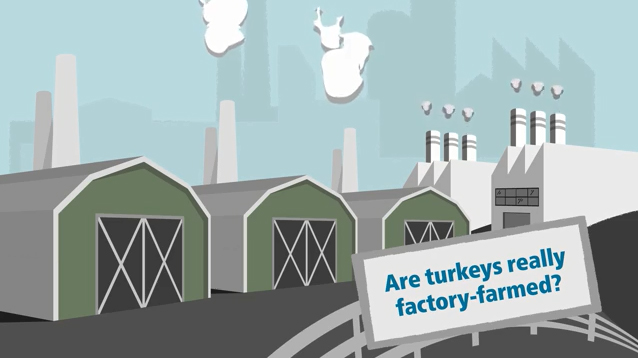 Turkey farming is family farming, where generations enjoy rural life. Our turkeys are farm-raised with smart technology and responsible stewardship of resources.