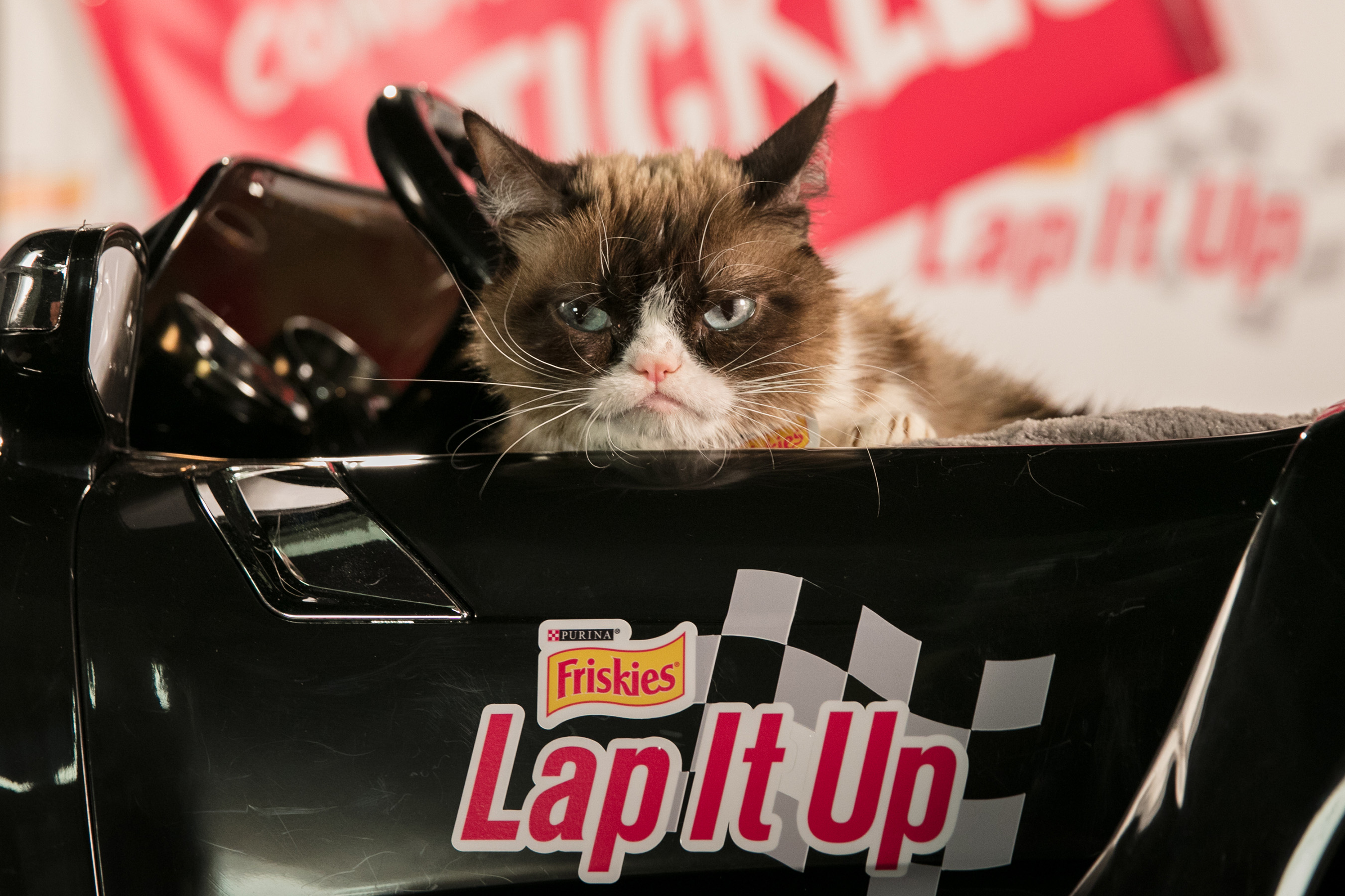 In the 60-second video, Grumpy Cat shamelessly tries to "motivate" Mr. Tickles who is on a quest to become the "First Cat of Professional Racing" as he sets out to "Lap It Up" at the track.
