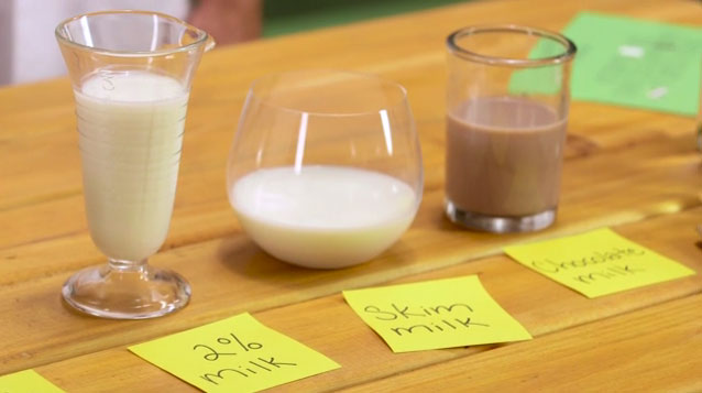Glass Is In Session: Do Different Cows Make Milk Taste Different?