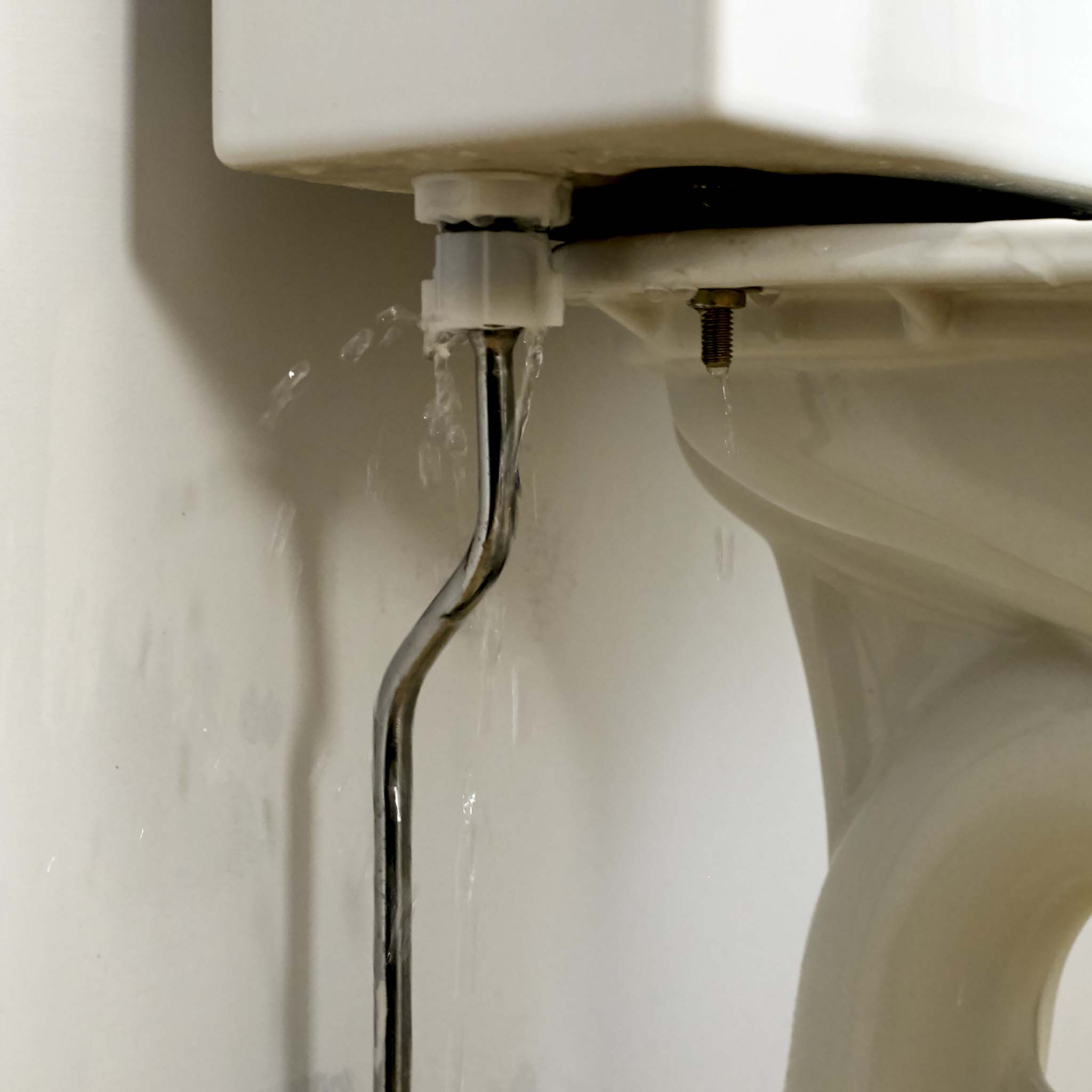 The Insurance Institute for Business & Home Safety reports that plumbing supply system failures is the leading source of residential water loss.