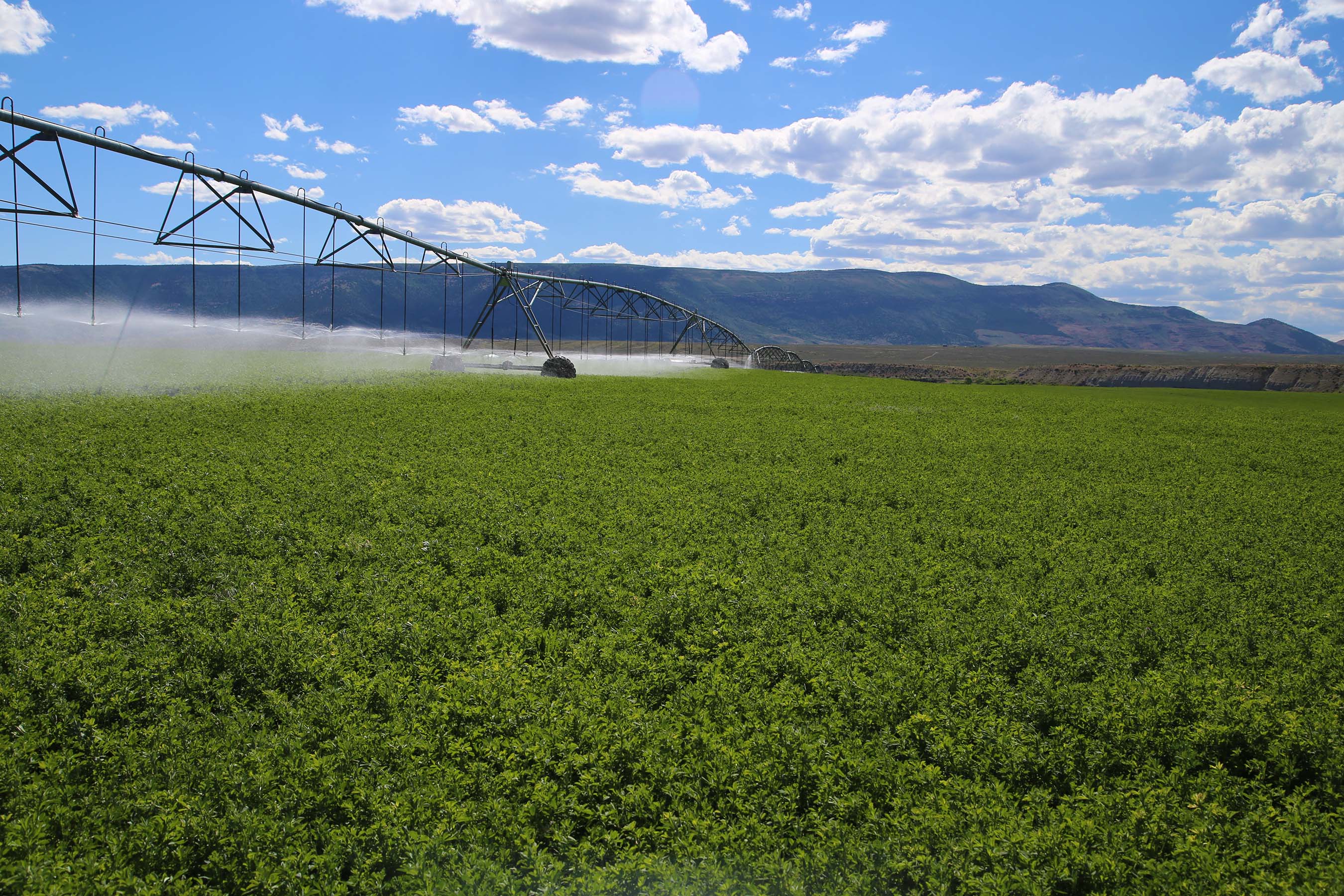 Valuable and historic water rights that irrigate hundreds of acres of meadows rest alongside the rivers. The rights are recognized as some of the most senior water rights on Yampa River Basin.