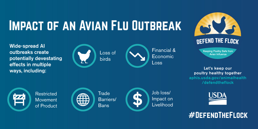 Impact of an Avian Flu Outbreak