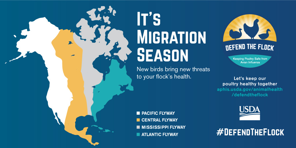 Migration Season Flyways