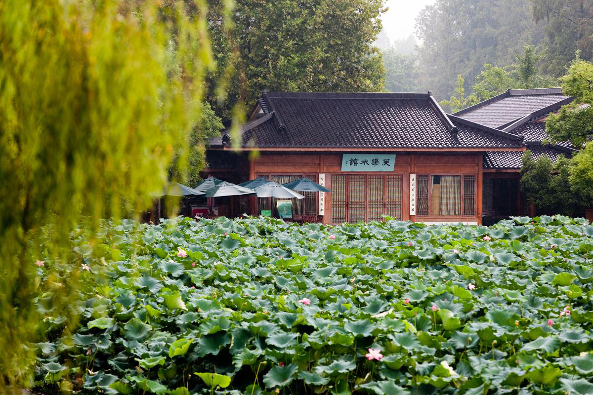 Lotus pond in summer Hangzhou