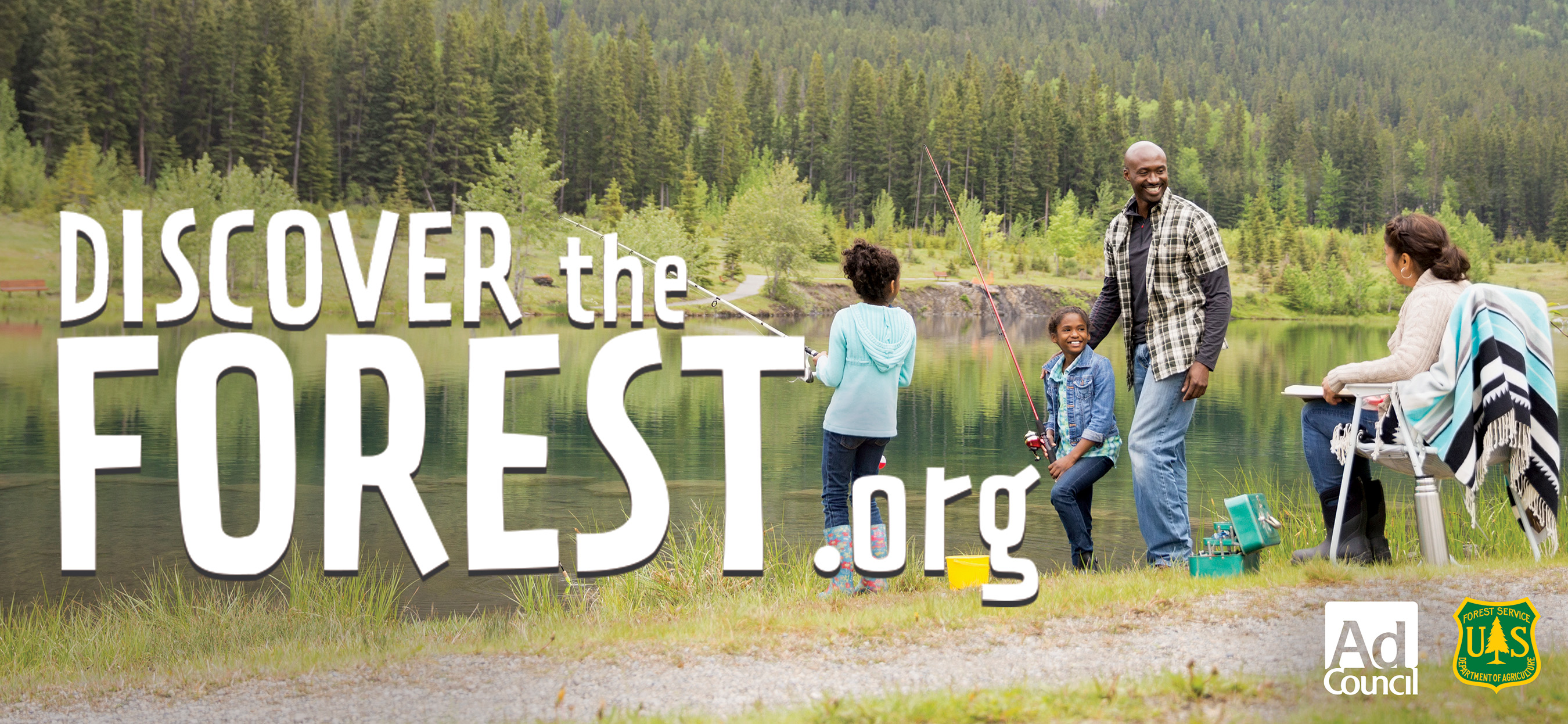 Discover a Forest or Park Near You