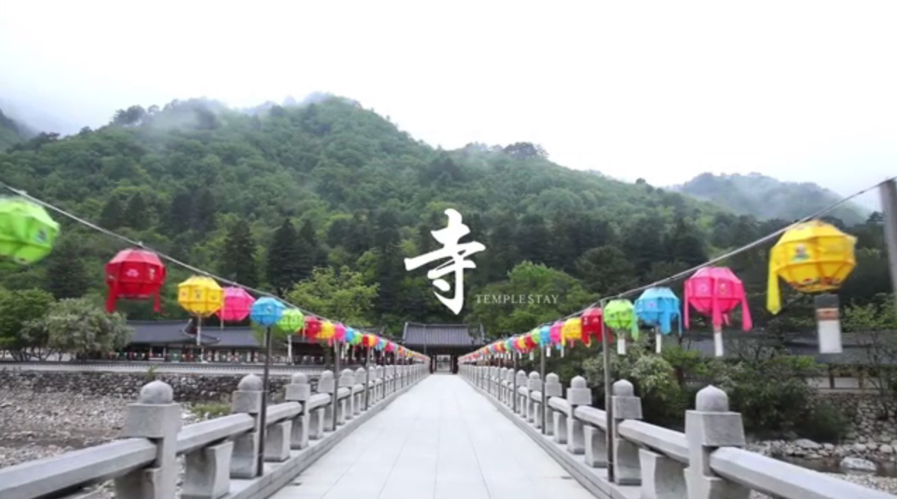 Templestay &amp; Temple Food takes over New York - Pyeongchang Winter Olympic Games with Templestay