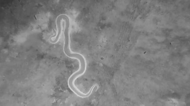 VolAero Drones Fights Everglades' Python Invasion With Thermal Cameras