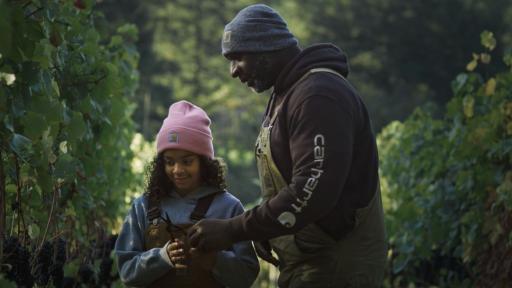 A man giving a young girl some clippers to trim grape vines.
