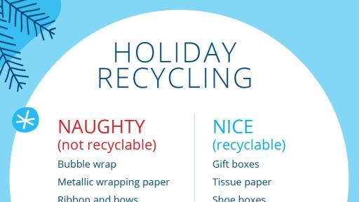 Holiday Recycling Naughty and Nice list
