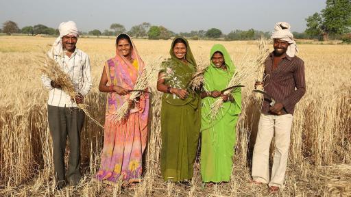 People  standing in a wheat field