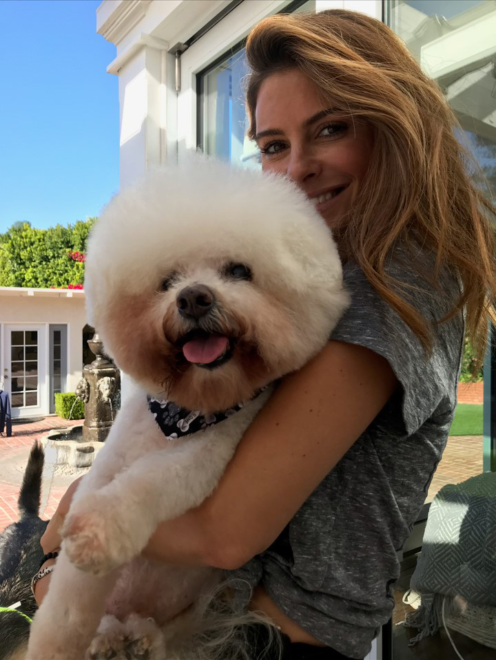 “Maximus, Benjamin and Whinnie are the true stars in our family and provide unconditional love and support, not to mention countless laughs and memories,” said Sirius XM host Maria Menounos.