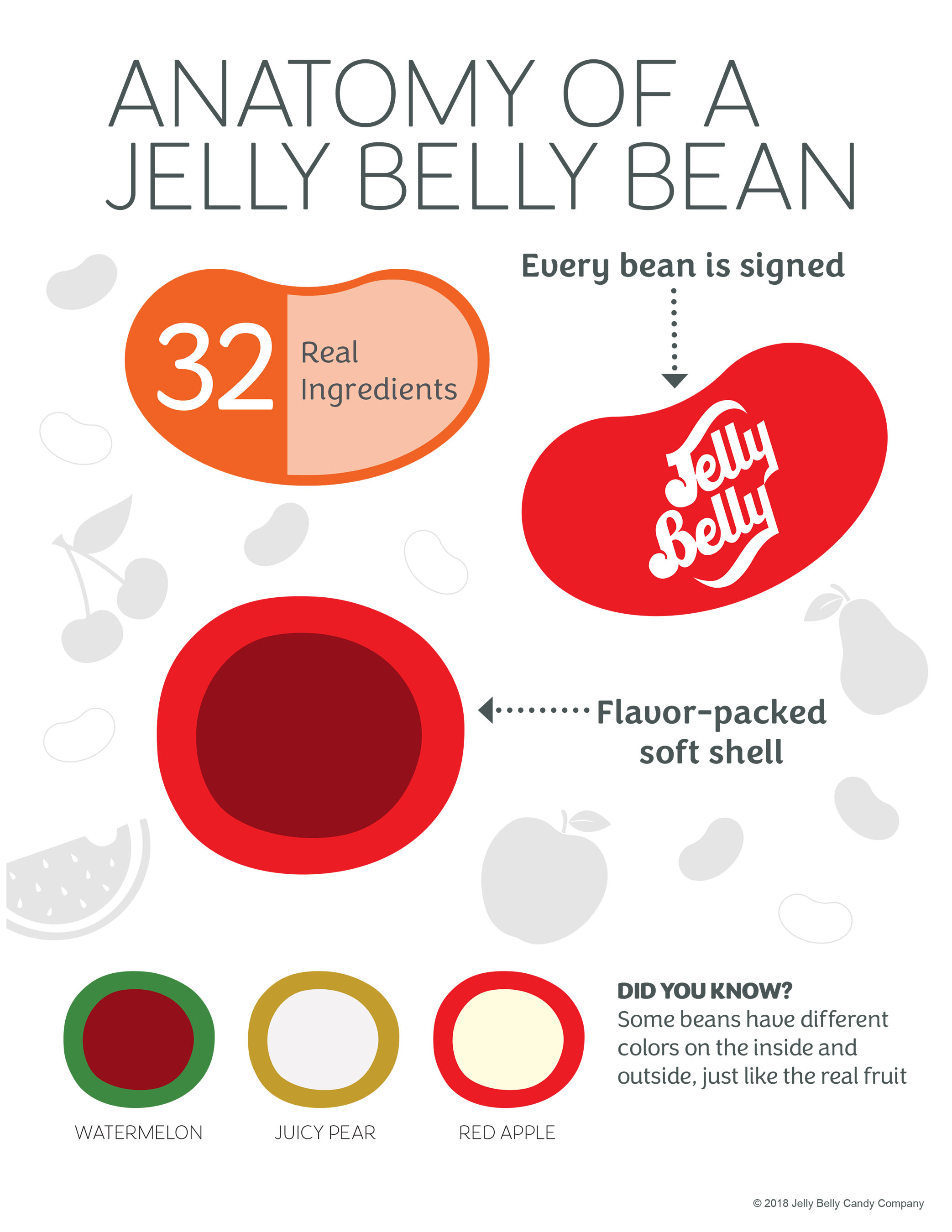 Infographic from Jelly Belly Candy Company explores the anatomy of a jelly bean