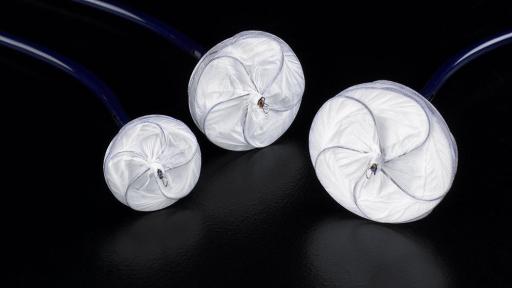 Several of the GORE® CARDIOFORM Septal Occluder devices