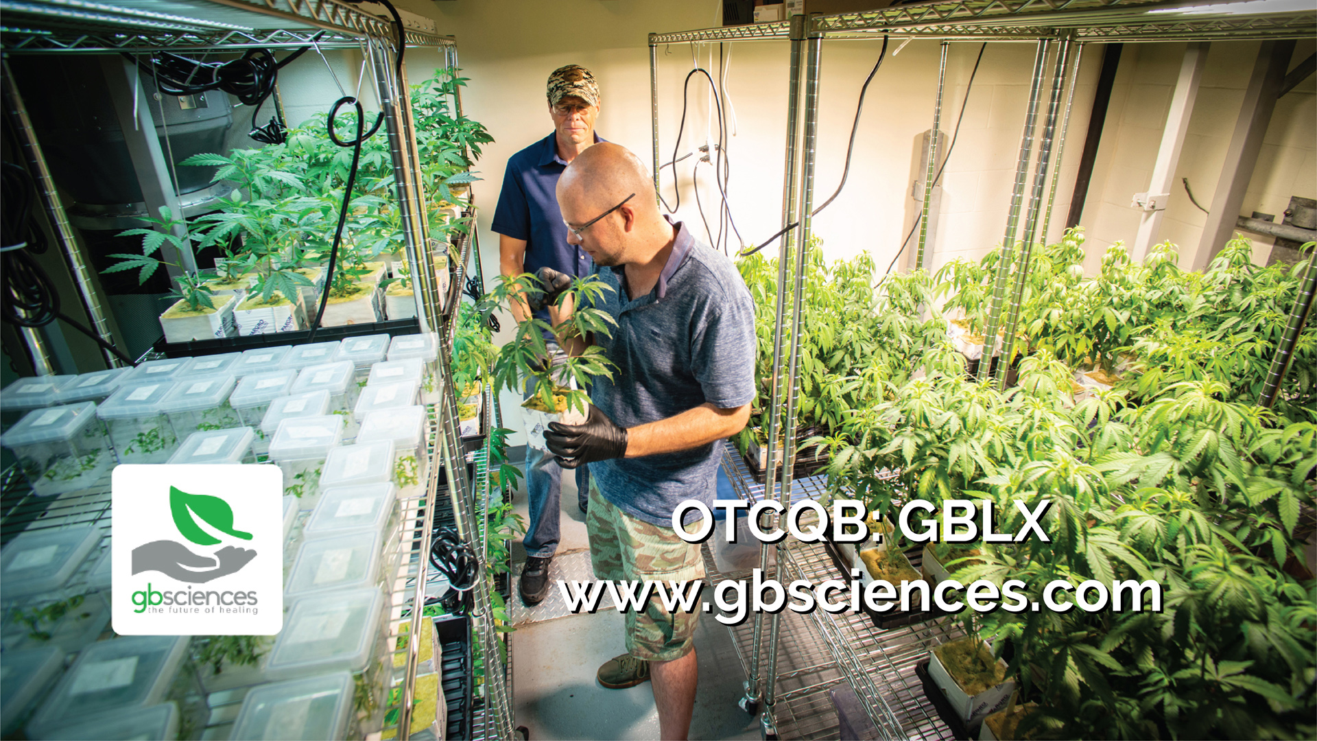 The LSU Ag Center and GB Sciences partnership matures.