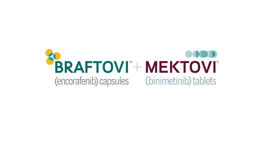 Braftovi + Mektovi Logo