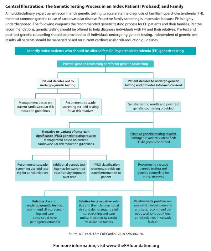 Genetic Testing Flow Diagram