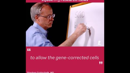 Play Video: Stephen Gottschalk, MD, explaining gene therapy
