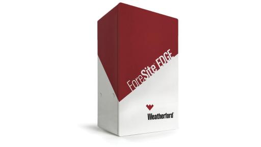 ForeSite Edge box