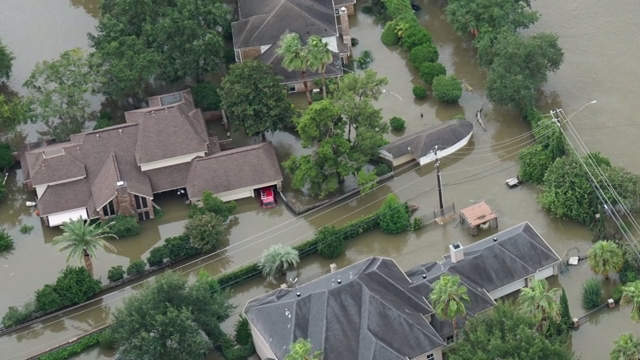 Lessons from the Eye of the Storm that Everyone Should Know