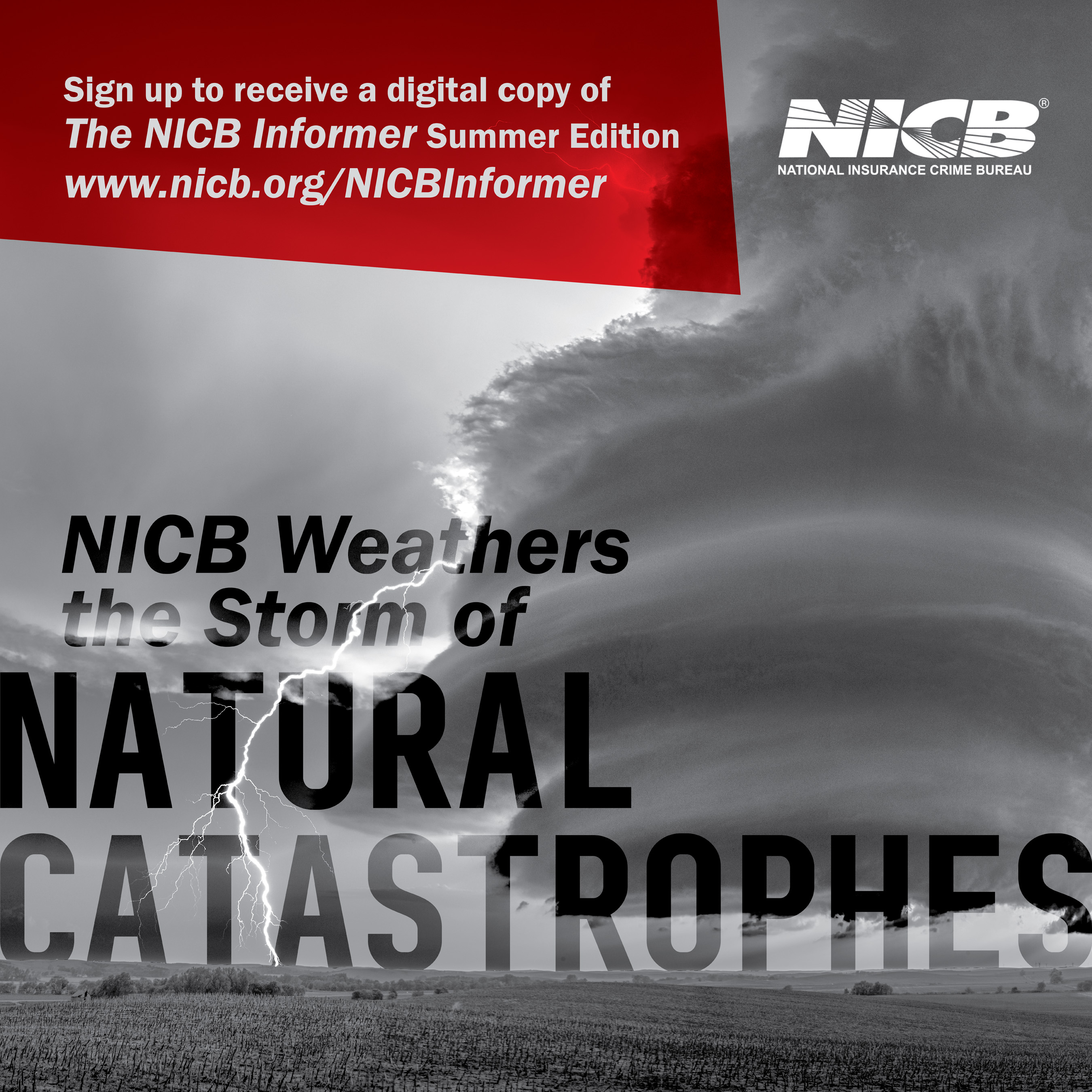 Summer edition of The NICB Informer infographic