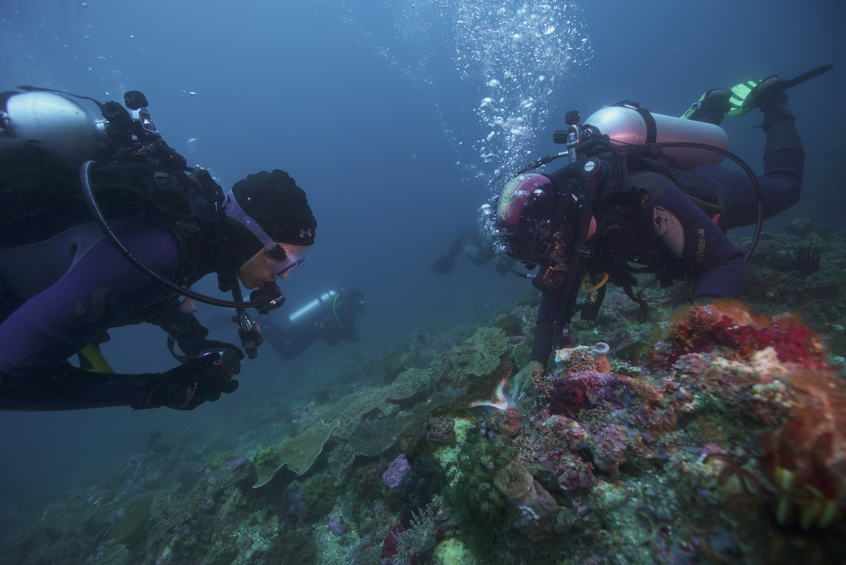Fisk Johnson, Chairman and CEO of SC Johnson, and M. Sanjayan, CEO of Conservation International, dive among the rich coral reef ecosystems near Bali, Indonesia.